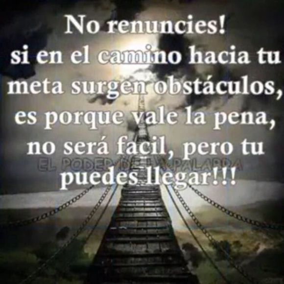 Meet your Posher, Pricila - Picture 1 of 1